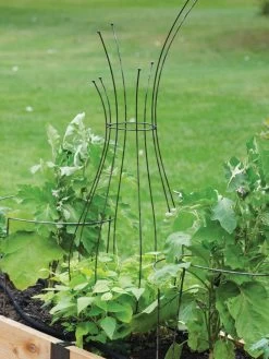 Jardin Pot Trellis 10 Jardin Pot Trellis -Garden Tools Store 8587120 7037 tif