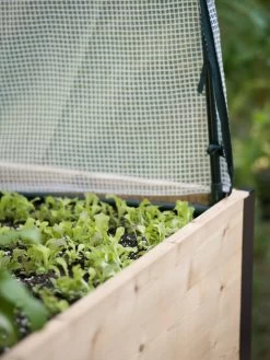 Protection Frame & Covers, 2' X 4' -Garden Tools Store 8587631 265 tif 1