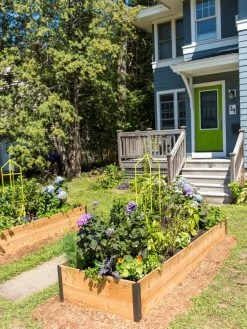 Zenith Folding Garden Supports, Set Of 2 -Garden Tools Store 8587807 0801 tif