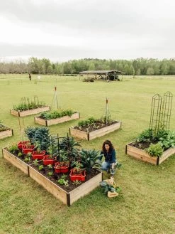 Deep Root Raised Beds, 14" Deep 4' Wide -Garden Tools Store 8587813 505 tif