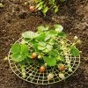 Strawberry Supports, Set Of 6 2 Strawberry Supports, Set Of 6 -Garden Tools Store 8587970 1039 tif