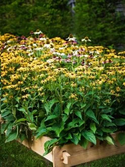 Farmstead Cedar Raised Garden Beds, 2' -Garden Tools Store 8588144 014V tif