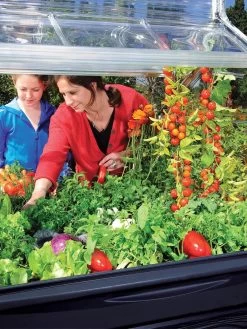 Canopia® By Palram Plant Inn™ Raised Bed Greenhouse, 4' X 4' -Garden Tools Store 8588308 03V tif