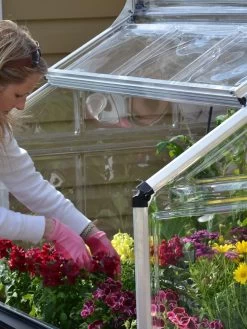 Canopia® By Palram Plant Inn™ Raised Bed Greenhouse, 4' X 4' -Garden Tools Store 8588308 04V tif