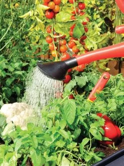 Canopia® By Palram Plant Inn™ Raised Bed Greenhouse, 4' X 4' -Garden Tools Store 8588308 06V tif