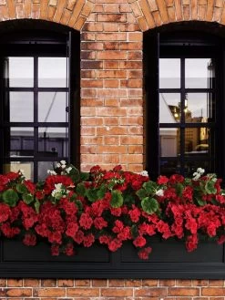 Fairfield Self-Watering Window Box, 5’ -Garden Tools Store 8588938 102V tif