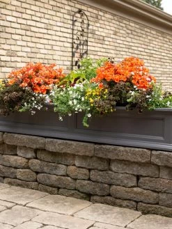 Fairfield Self-Watering Window Box, 5’ -Garden Tools Store 8588938 105V tif