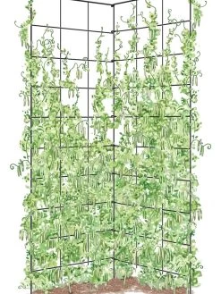 Two Panel Folding Trellis -Garden Tools Store 8589053 002Z tif