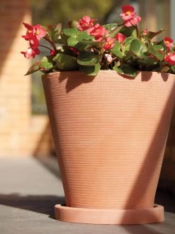 Universal Round Planter Saucers -Garden Tools Store 8589526 001V tif