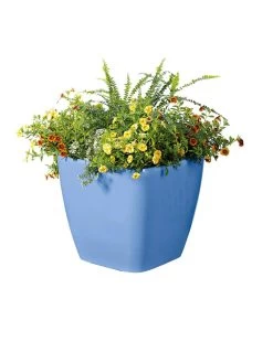 Viva Square Self-Watering Rolling Planter, 14" Diameter -Garden Tools Store 8589777BL 6080 tif