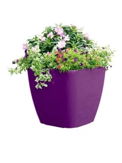 Viva Square Self-Watering Rolling Planter, 17.5" Diameter -Garden Tools Store 8589778PR 6126 tif