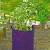 Gardener's Best® Potato Grow Bag -Garden Tools Store 8589785PR 4191 potato grow bags with handles tif