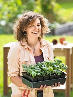 Growease Seed Starter Kit -Garden Tools Store 8589987 0446 tif