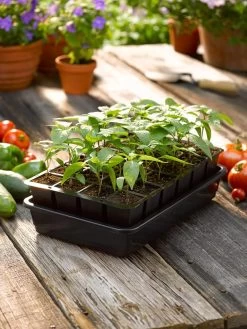 Growease Seed Starter Kit -Garden Tools Store 8589987 1148 tif