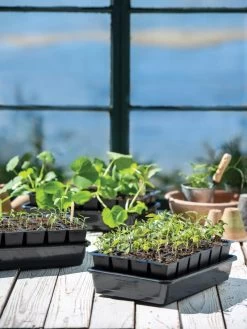 Growease Seed Starter Kit -Garden Tools Store 8589987 7871 tif