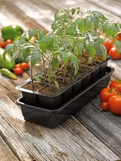 Growease Seed Starter Kit -Garden Tools Store 8589988 1056 tif