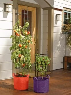 Gardener's Best® Tomato Grow Bag Set 9 Gardener's Best® Tomato Grow Bag Set -Garden Tools Store 8590013 170 tif