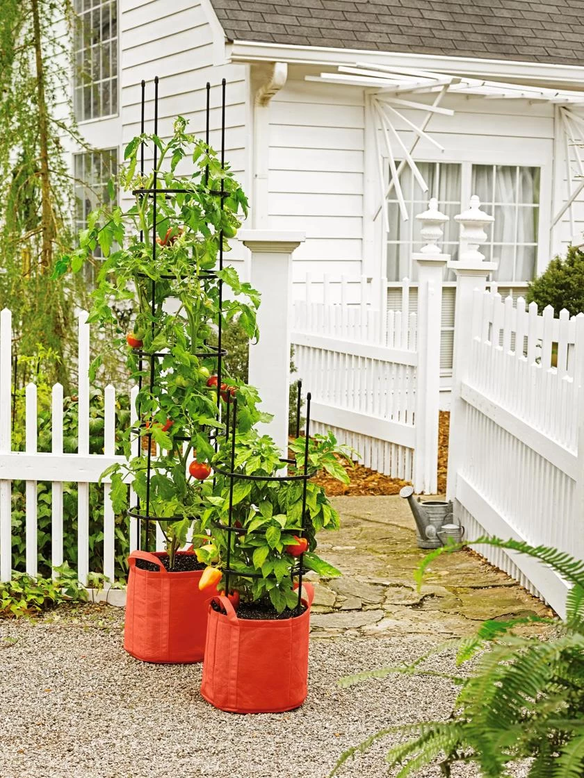 Gardener's Best® Tomato Grow Bag Set 5 Gardener's Best® Tomato Grow Bag Set - Image 3