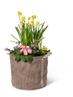 Gardener's Best® Universal Grow Bag -Garden Tools Store 8590024 7307 tif