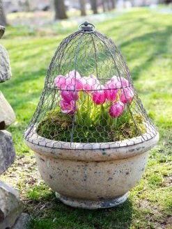 Chicken Wire Cloche -Garden Tools Store 8590210 021 tif