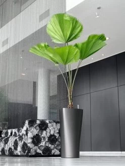 Lechuza® Delta Premium Self-Watering Planters -Garden Tools Store 8590299 02V tif