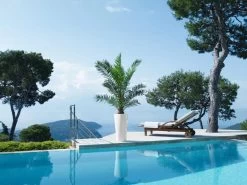 Lechuza® Delta Premium Self-Watering Planters -Garden Tools Store 8590299 04V tif