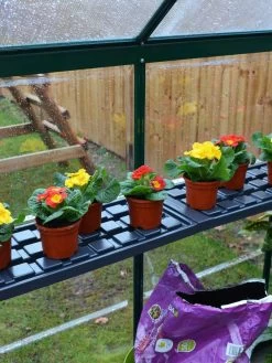 Canopia® By Palram Shelf Kit For Greenhouses, Set Of 2 Shelves -Garden Tools Store 8591033 09V jpg