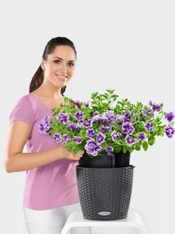 Lechuza® Nido Cottage Wicker Hanging Planter -Garden Tools Store 8591154GT 006V tif