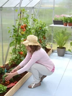 Canopia® By Palram Essence™ Greenhouse, 8' X 12' -Garden Tools Store 8591356 04V tif