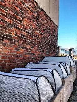 Row Shelter Accelerator 11 Row Shelter Accelerator -Garden Tools Store 8591990 01IN tif