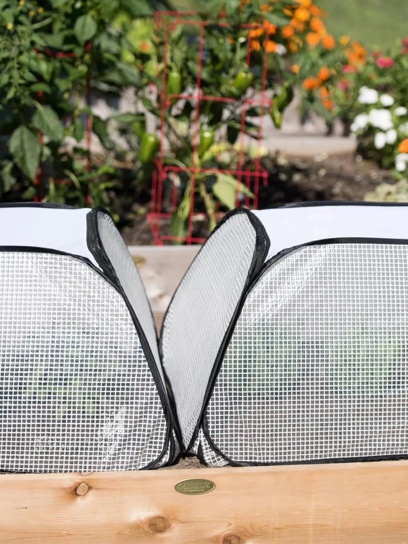 Row Shelter Accelerator 6 Row Shelter Accelerator - Image 4