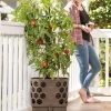 Gardener's Revolution® Tomato Planter -Garden Tools Store 8592159 406 001E tif