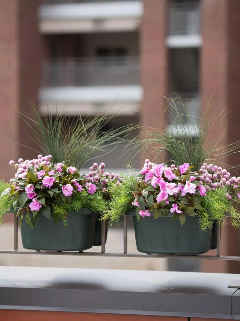 Self-Watering Saddle Railing Planter, 16" 5 Self-Watering Saddle Railing Planter, 16" - Image 3