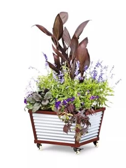 Galvanized Self-Watering Planters -Garden Tools Store 8592176 5067 tif