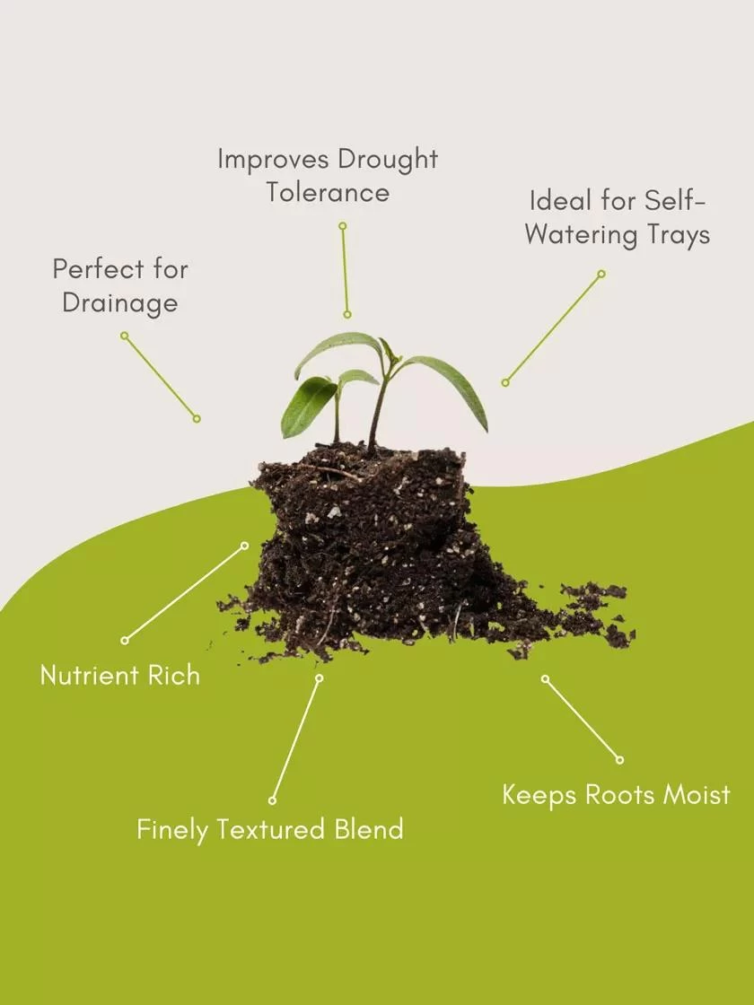 Organic Self-Watering Potting Mix, 20 Qts. 6 Organic Self-Watering Potting Mix, 20 Qts. - Image 4