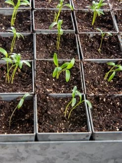 Seed Starting Mix, 9 Qts. -Garden Tools Store 8592212 6177