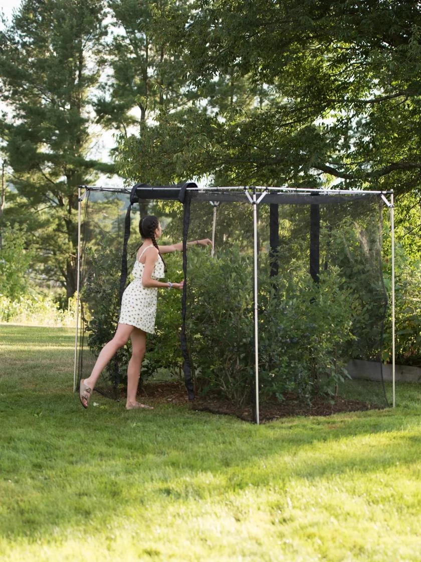 Storm Proof Crop Cage, Large 3 Storm Proof Crop Cage, Large