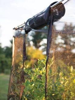 Storm Proof Crop Cage, Large 14 Storm Proof Crop Cage, Large -Garden Tools Store 8592463 115 tif