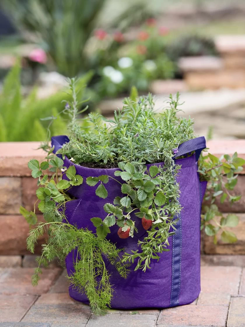 Gardener’s Best® Strawberry And Herb Grow Bag 3 Gardener’s Best® Strawberry And Herb Grow Bag