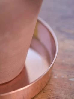 Extra Small Round Copper Plant Tray, 8" -Garden Tools Store 8593528 4529 tif