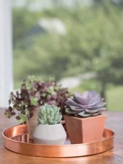 Large Round Copper Plant Tray, 14" -Garden Tools Store 8593531 4518 tif