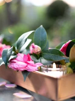 Rectangular Copper Plant Tray, 18"x4" -Garden Tools Store 8593532 02IN tif