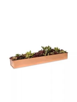 Rectangular Copper Plant Tray, 18"x4" -Garden Tools Store 8593532 2892 tif