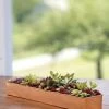 Rectangular Copper Plant Tray, 18"x4" -Garden Tools Store 8593532 4632 tif