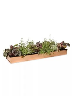 Rectangular Copper Plant Tray, 24" X 5" -Garden Tools Store 8593533 2878 tif