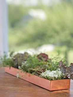 Rectangular Copper Plant Tray, 24" X 5" -Garden Tools Store 8593533 4626 tif