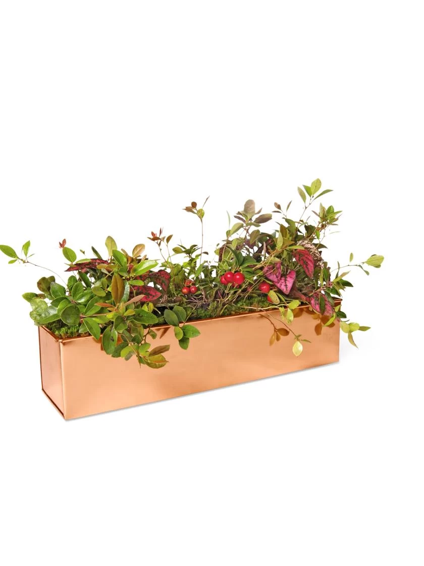 Tall Rectangular Copper Plant Tray, 18" X 5" X 4" 6 Tall Rectangular Copper Plant Tray, 18" X 5" X 4" - Image 4