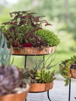 Small Round Copper Plant Tray, 10" -Garden Tools Store 8593564 4399 tif