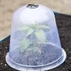 Large Garden Cloches, Set Of 3 -Garden Tools Store 8593984 345 tif