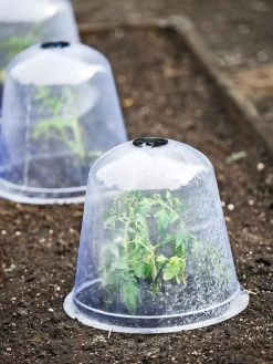 Large Garden Cloches, Set Of 3 -Garden Tools Store 8593984 9432 tif